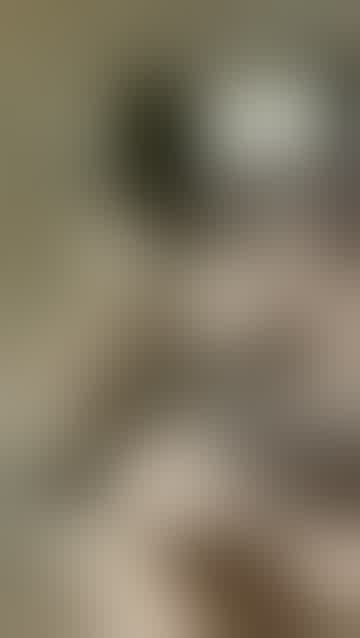 Cinnannoe profile image